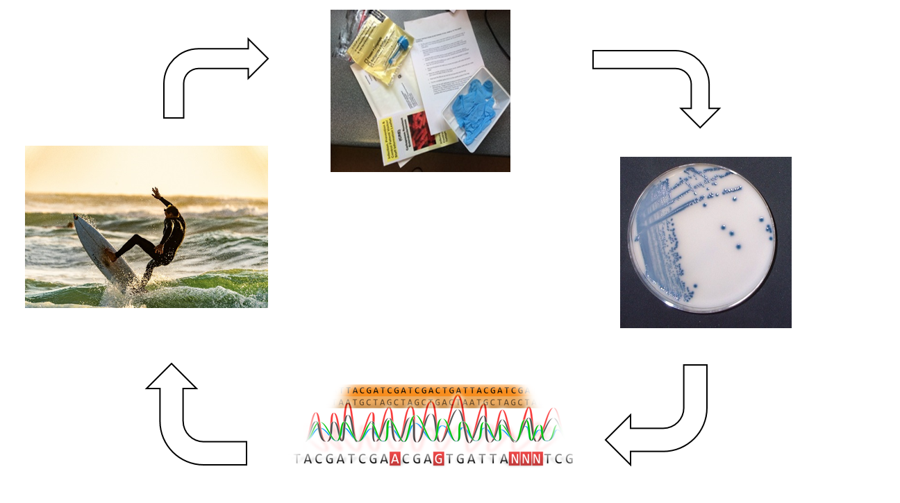 PIER flow diagram 2