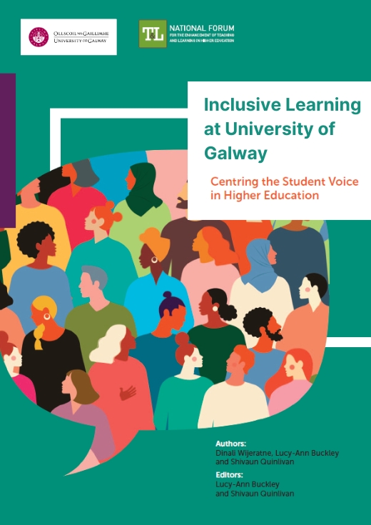 Inclusive Learning at University of Galway Postgraduate Report