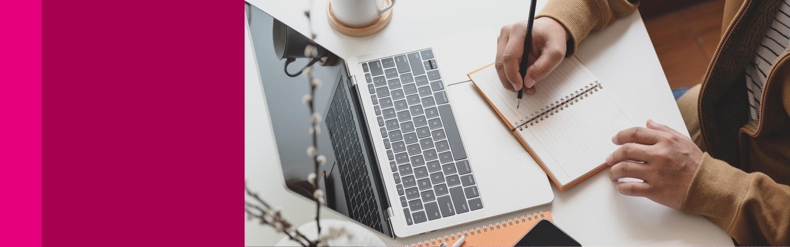 Join us for one of our Lunchtime Webinars