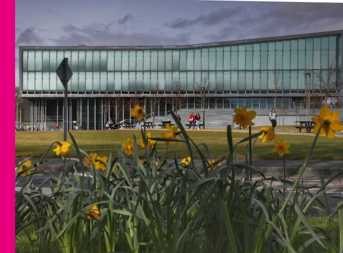 College of Science and Engineering