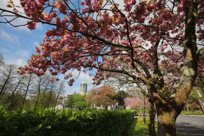 University of Galway at a Glance