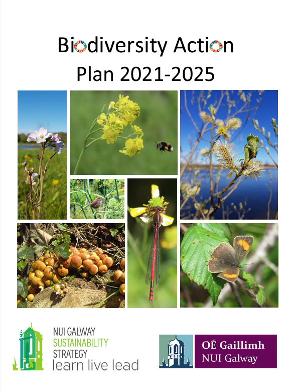 Biodiversity action plan 2021 - 2025 cover image