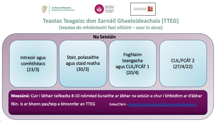 Teastas Teagaisc don Earn&aacute;il Ghaeloideachais (TTEG)