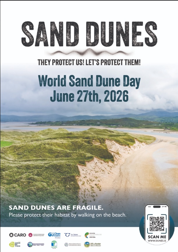 World Sand Dune Day
