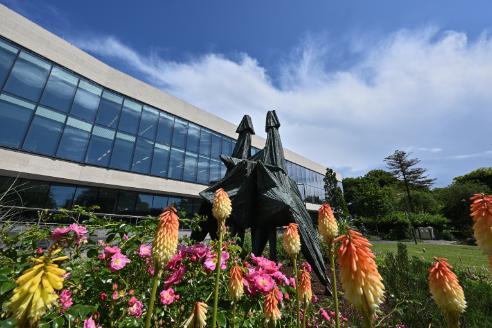 University of Galway
