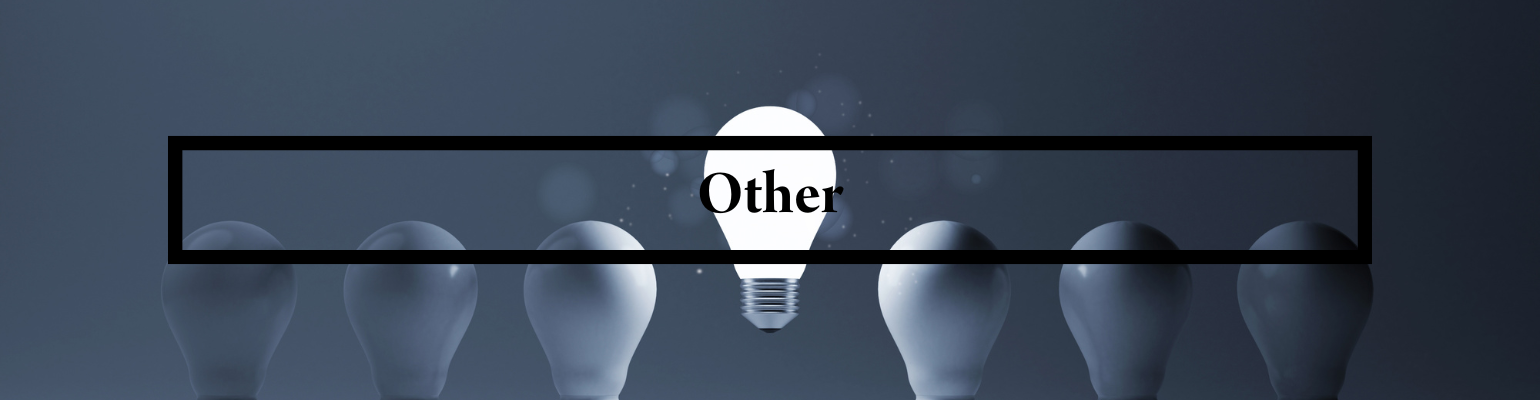 Banner for the section 'other' on the website