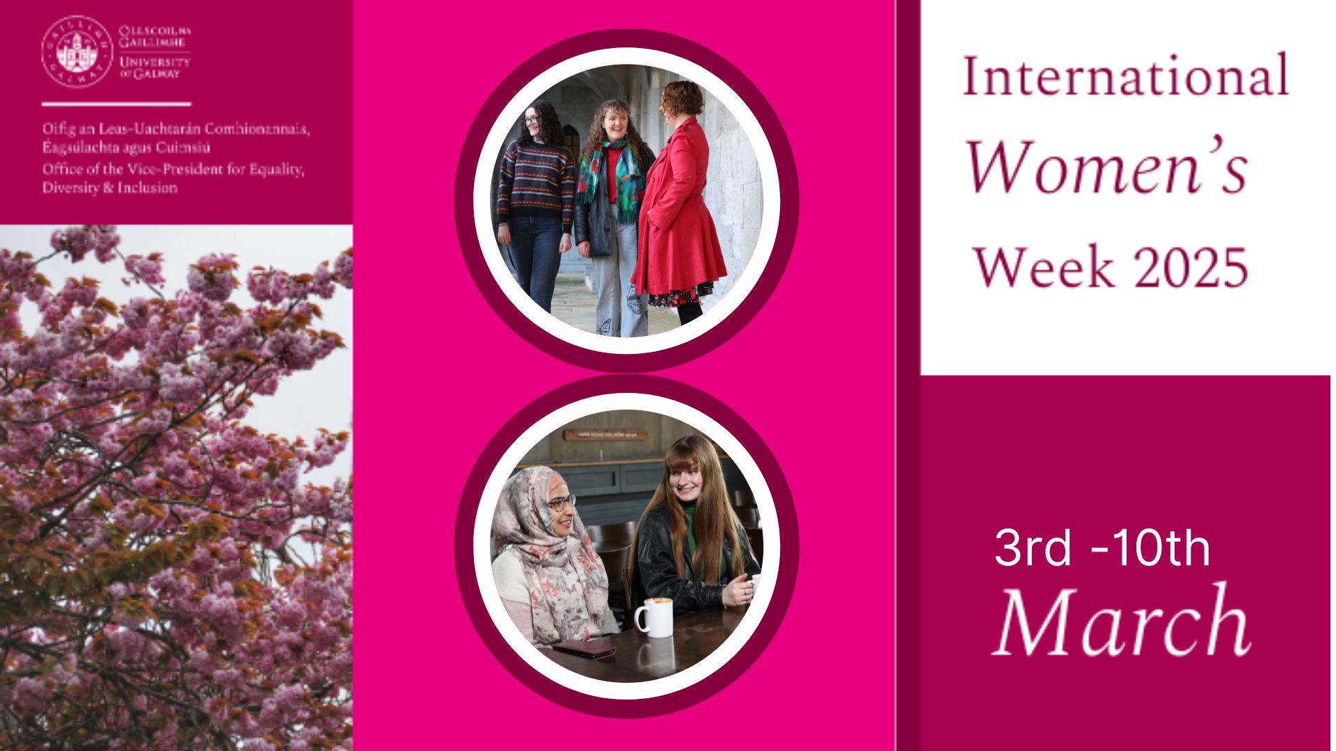 Banner IWD25