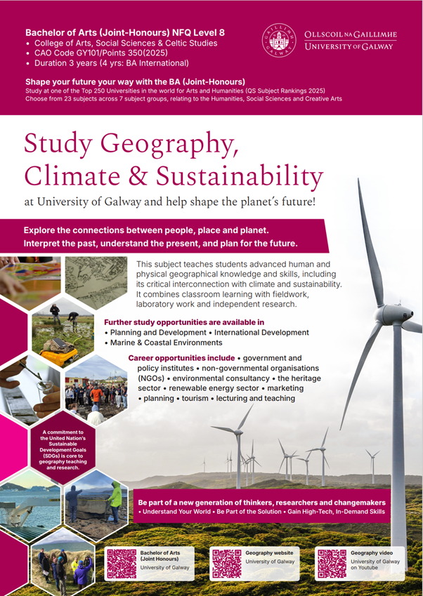 Undergraduate Flyer