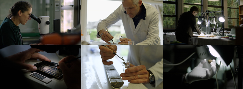 Researcher banner photo