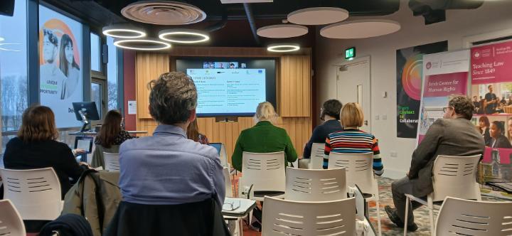 The Irish Centre for Human Rights hosts ENLIGHT and other partners to plan for Online School on Human Rights 2025