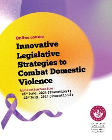 Poster for the course on DV