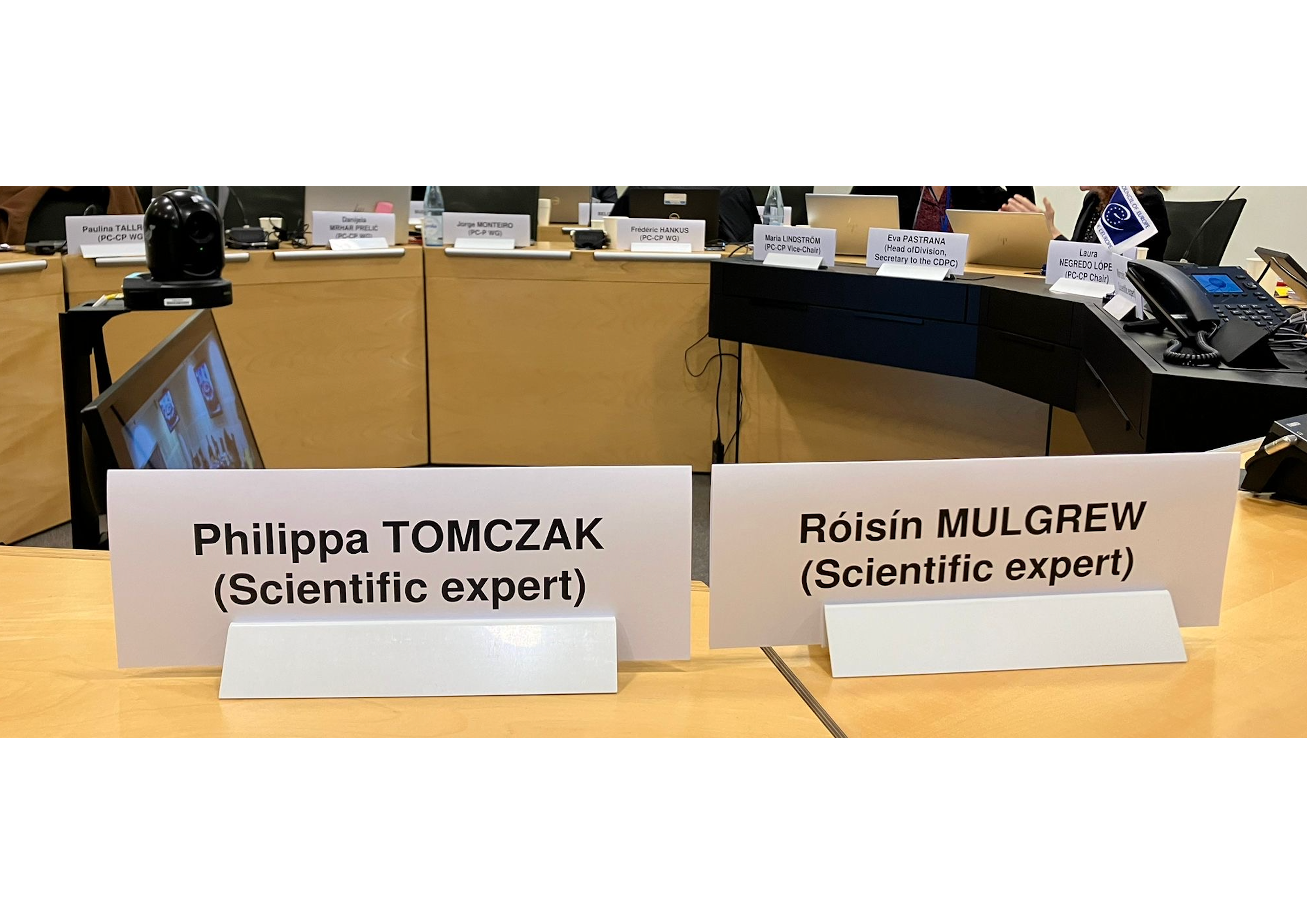 Expert labels