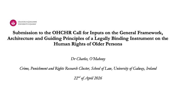 Submission to the OHCHR Call for Inputs on the General Framework, Architecture and Guiding Principle