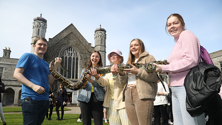 University of Galway