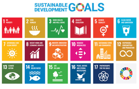 SDGs 450pix