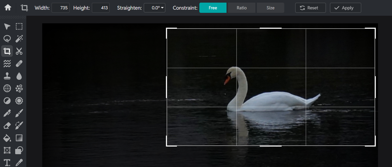 Pizlr Crop select area of image
