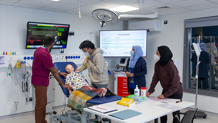 Clinical Simulation