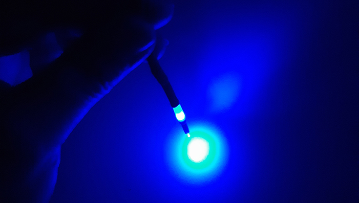 Optical fibre used for optogenetic stimulation.