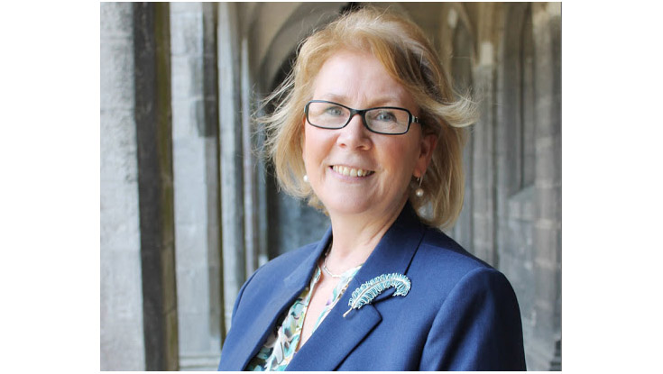 Professor Anne Scott, Vice-President for Equality and Diversity, NUI Galway