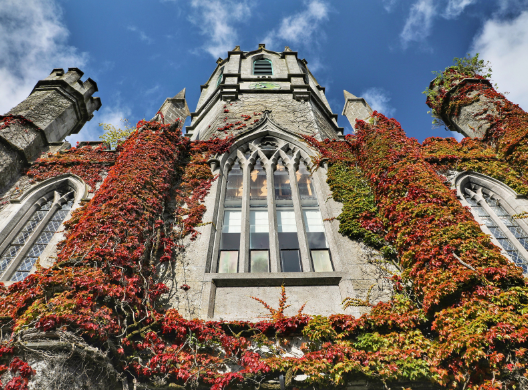 Reasons to Apply Early