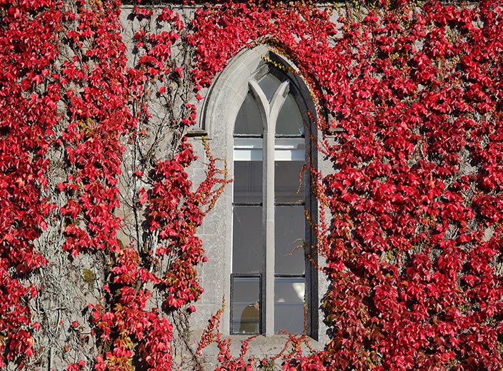 Upcoming Activities & Events