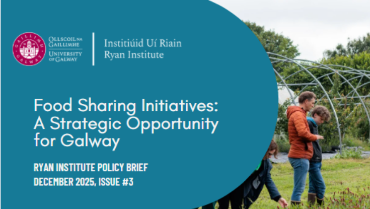 RYAN INSTITUTE POLICY BRIEF 