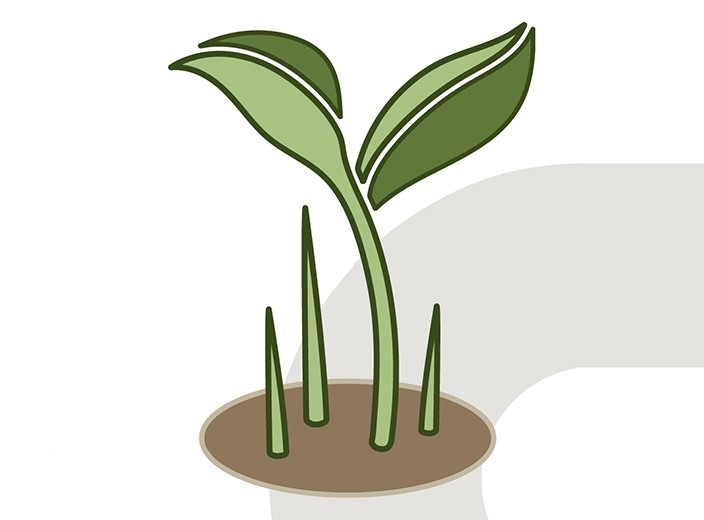 Botany & Plant Science